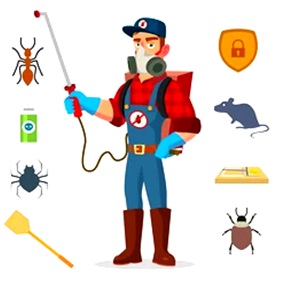 Pest Control North Brisbane